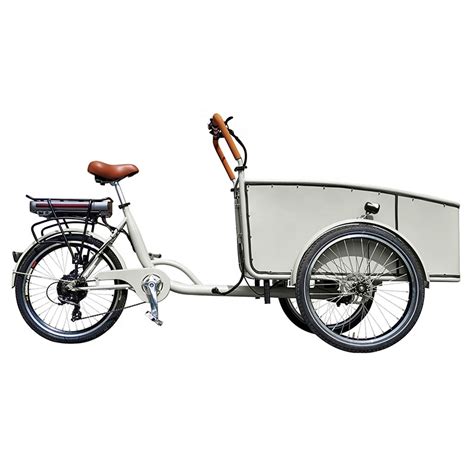 electric bike with box|cheapest electric cargo bike.